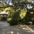 A photo of path leading to a gazebo surrounded by lush greenery. 