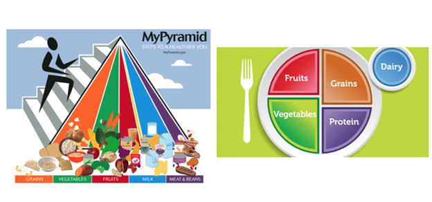 A graphic of MyPyramid (left) and MyPlate (right). 