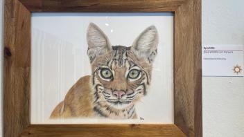 color pencil drawing of a forward facing cat