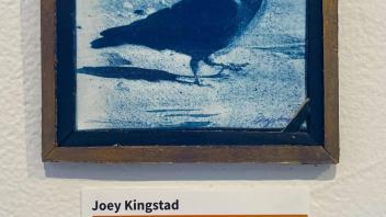 cyanotype image of a pigeon 