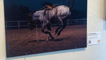 bucking bronco without a rider