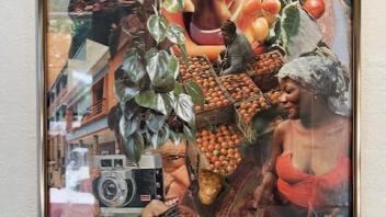 collage of fruit picking and an old camera