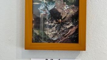collage of a king fisher and women bathing