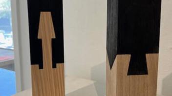 highlighted joinery of black and natural wood