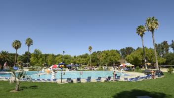 view of rec pool from grass yard