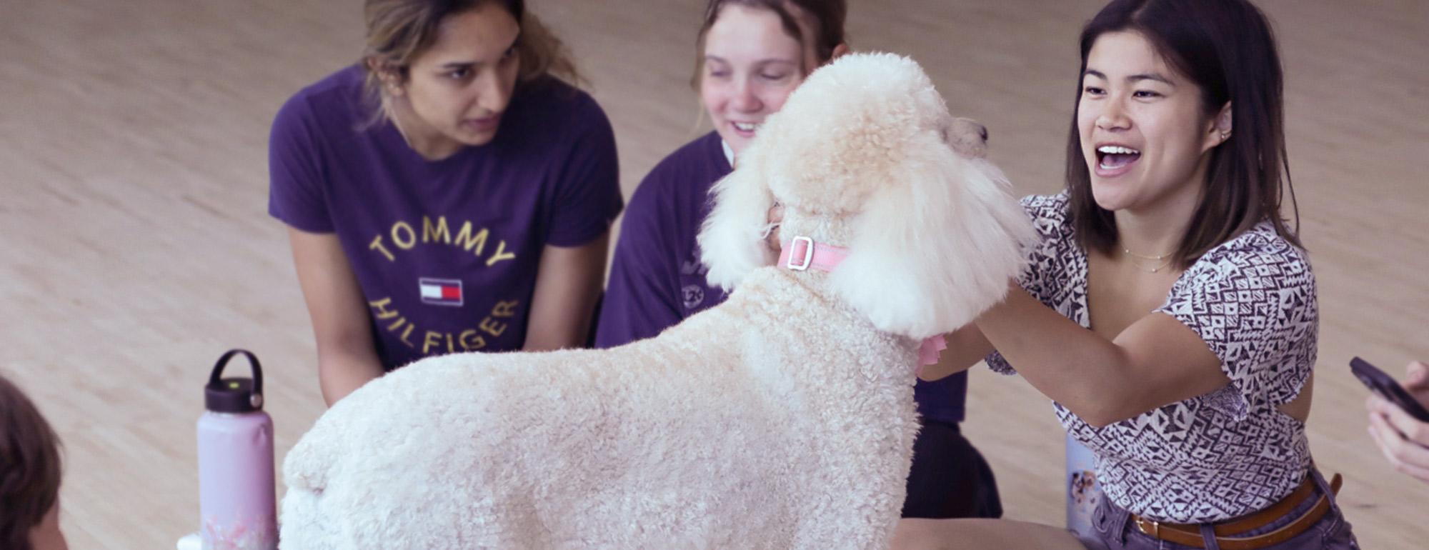 Several students gather around a poodle dog. One of them snuggles its face and smiles.