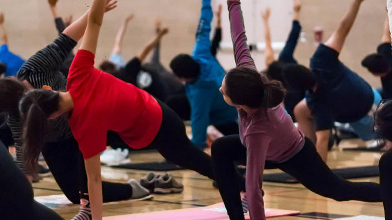 Try Yoga classes and many more for free during Try Before You Buy!