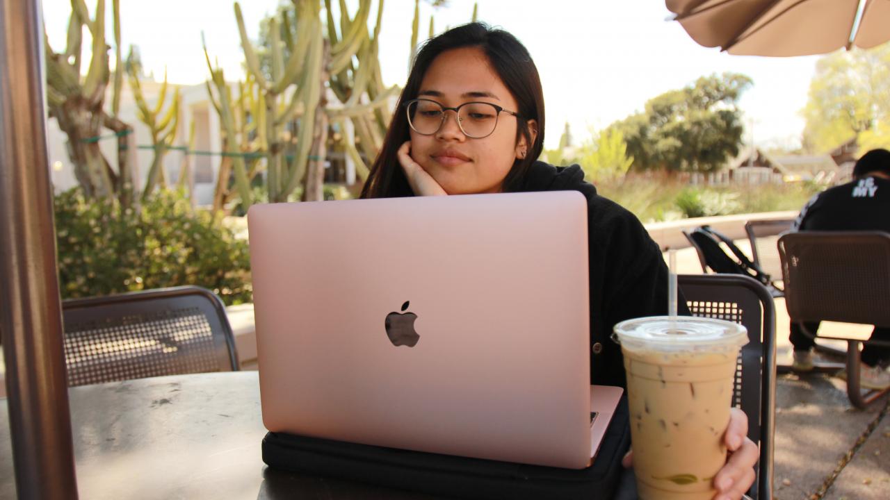 A student studying at their laptop.