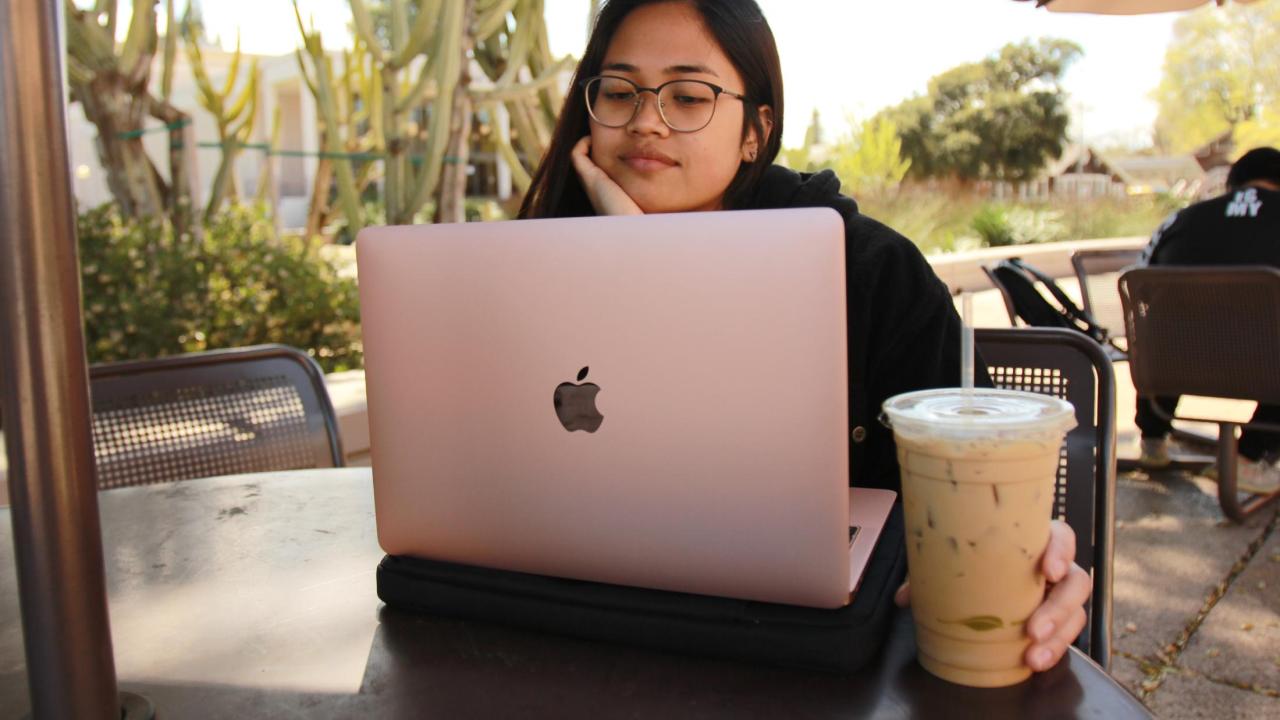 A student studying at their laptop.