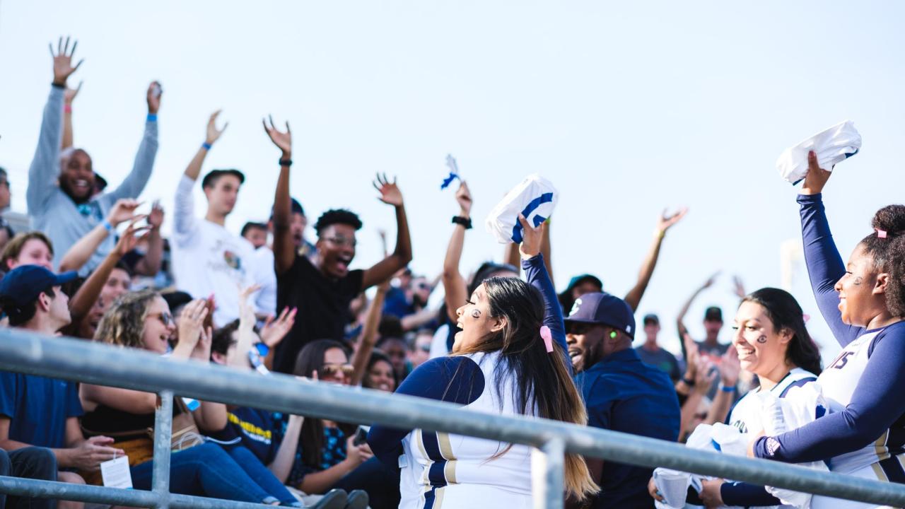 Group of people watching a football game.