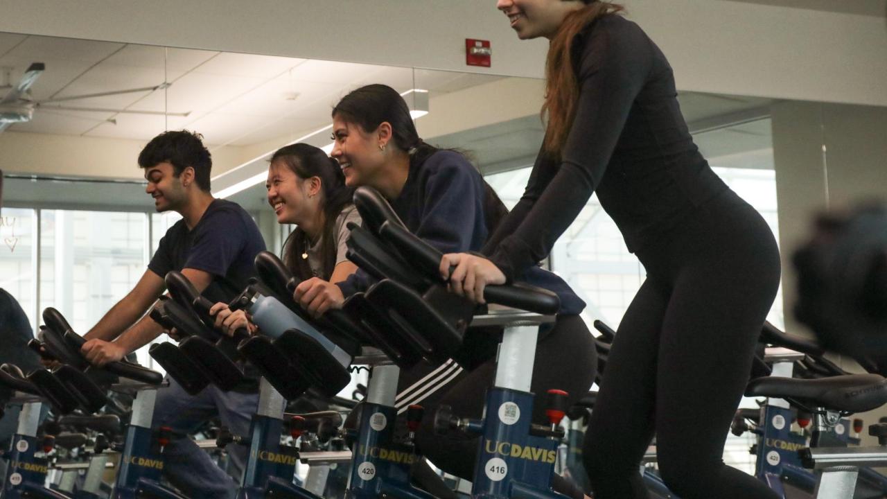 Cyclists