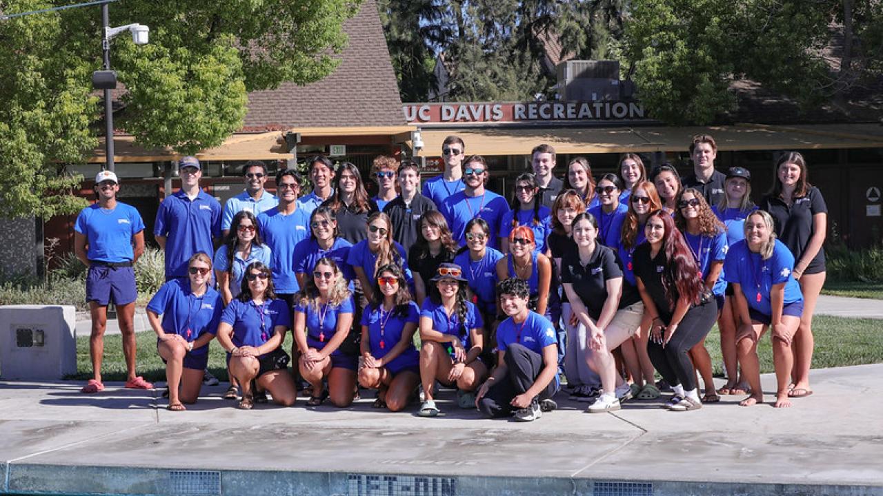 AQ Group Picture