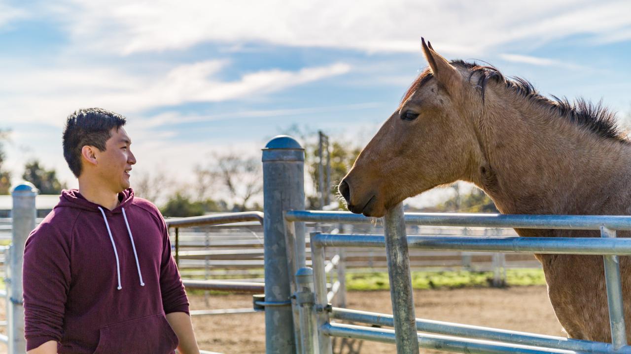 A student and horse look at each other