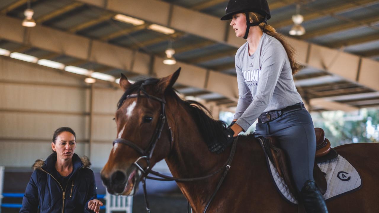 A person on a horse receives instruction from a coach