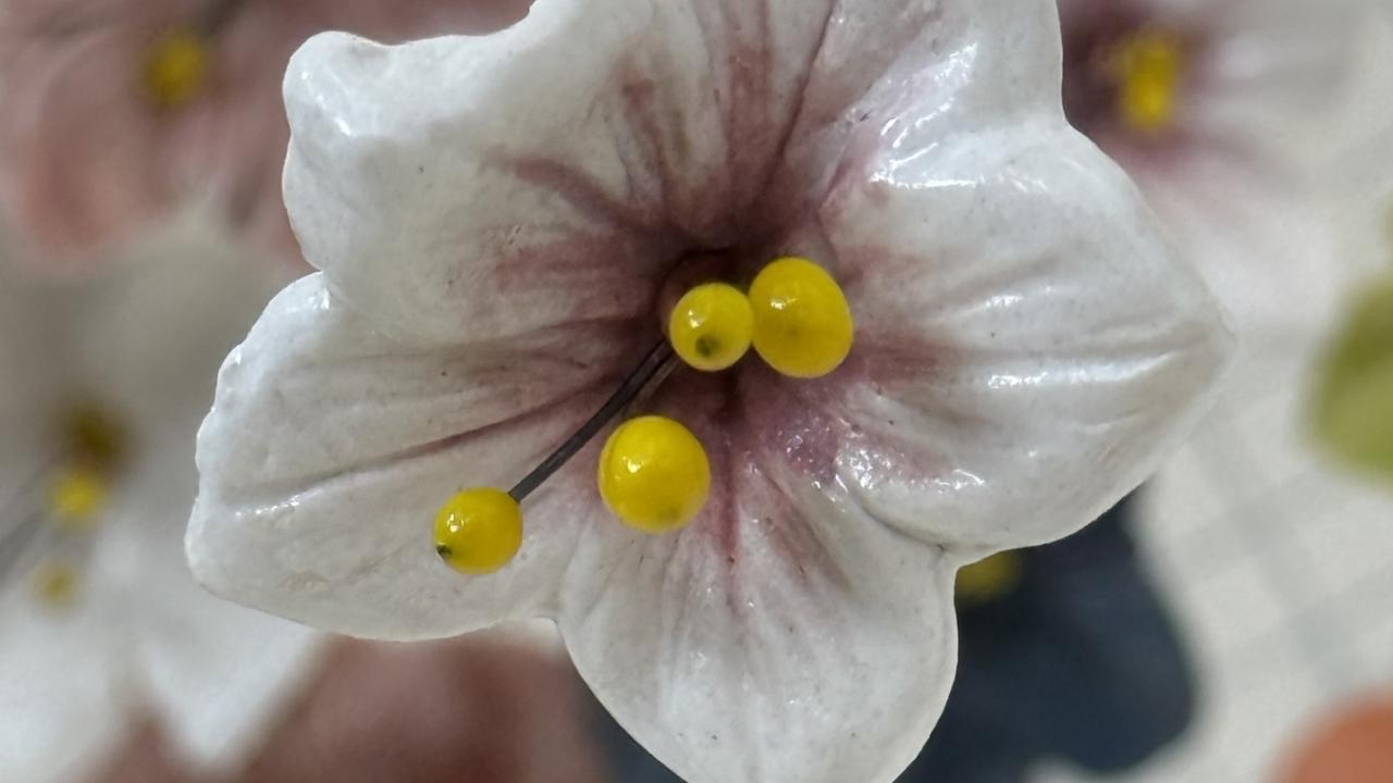 ceramic cherry blossoms suspended from the ceiling