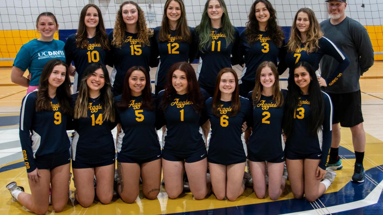 Picture of Women's Volleyball Team in Two Rows