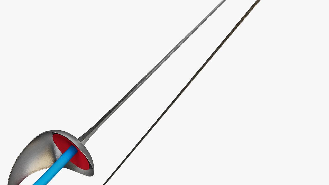 Fencing Sabre