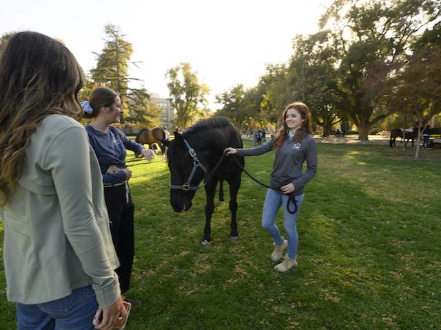 Students greeting the horses