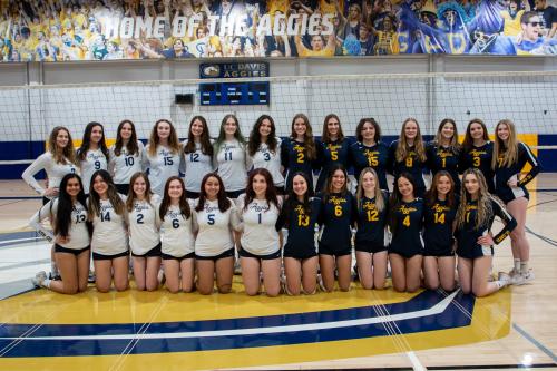 This is a group photo of UC Davis's women's volleyball club.
