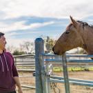 A student and horse look at each other