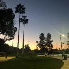 Picture of Sunset at Rec Pool at UC Davis
