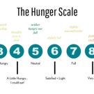 "The Hunger Scale" from 1-10. 1-ravenous, 2-uncomfortably hungry, 3-very hungry, 4-a little hungry, I could eat!, 5-neutral, 6-satisfied and light, 7-full, 8-very full, 9-very uncomfortable, 10-painfully full, I feel sick!