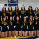 Picture of Women's Volleyball Team in Two Rows