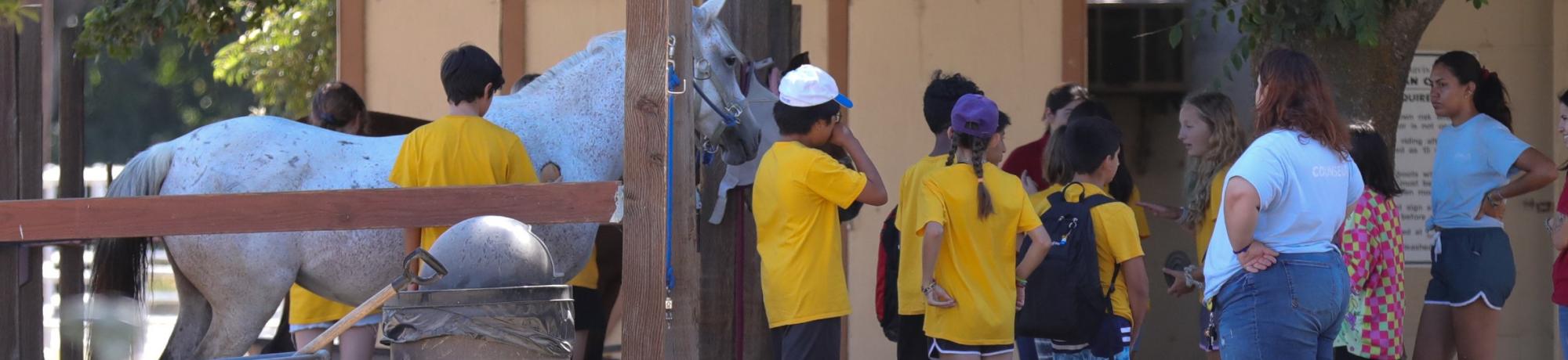 Youth programs counselors and campers having fun at the equestrian center